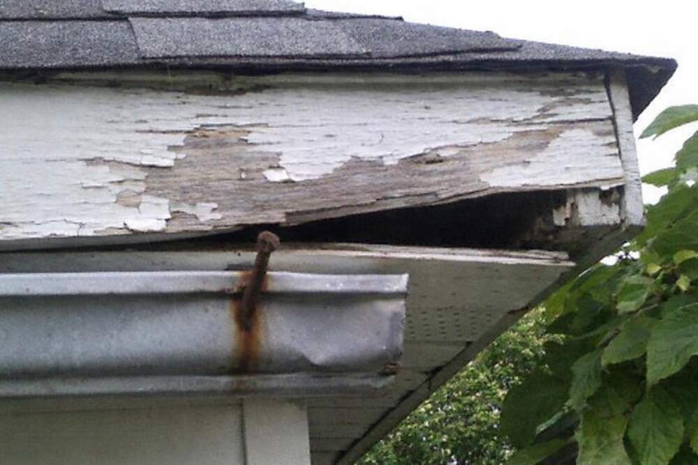 A painted fascia board pulling away from the soffit under a shingled eave, leaving an opening at the corner